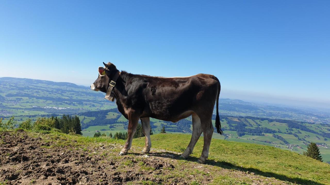 Allgaeu Bergluft Weitnau Exterior foto